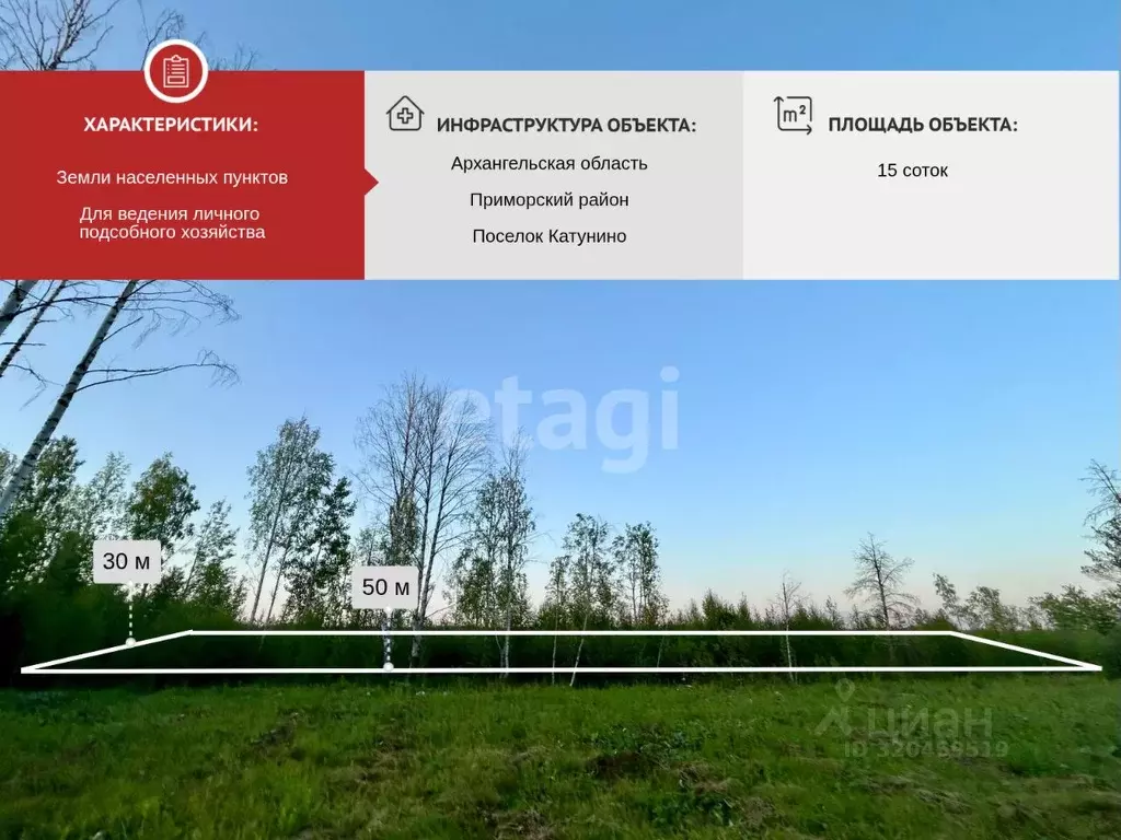Участок в Архангельская область, Приморский муниципальный округ, пос. ... - Фото 0