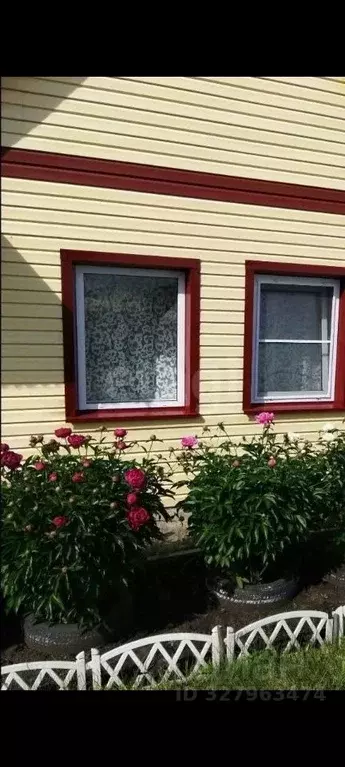 Дом в Новосибирская область, Искитимский район, Евсинский сельсовет, ... - Фото 1