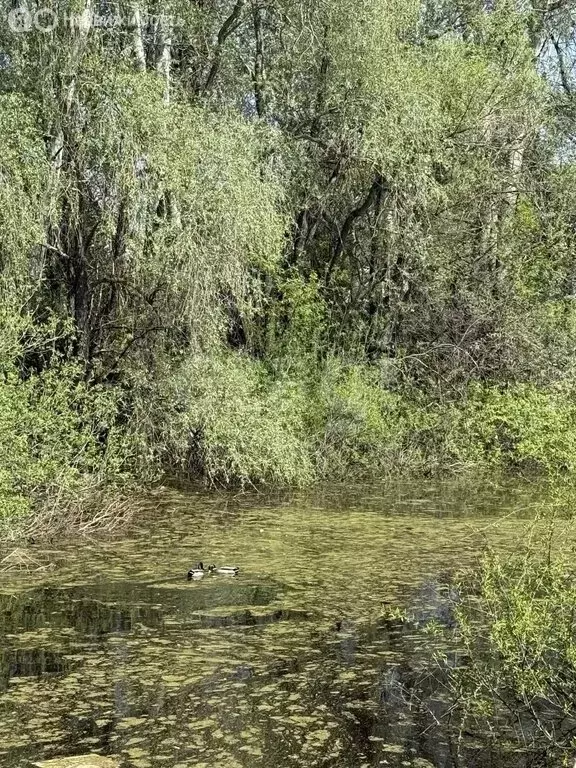 Участок в Энгельс, Песчаная улица, 8 (6.6 м) - Фото 2