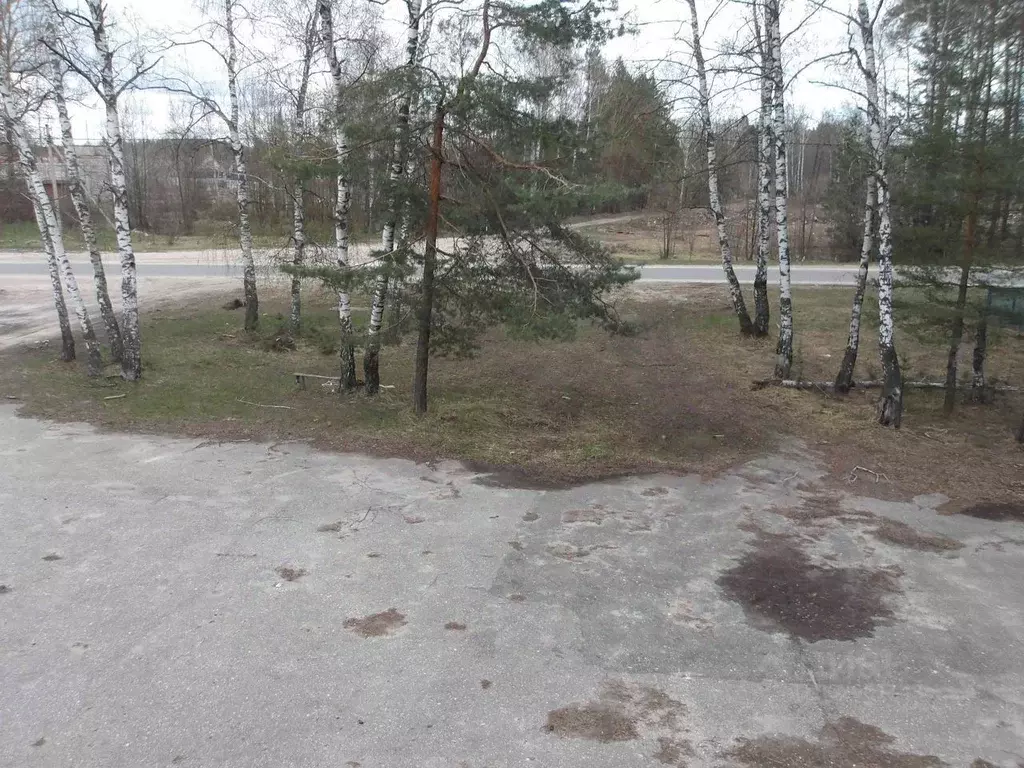 Помещение свободного назначения в Рязанская область, Клепиковский ... - Фото 2
