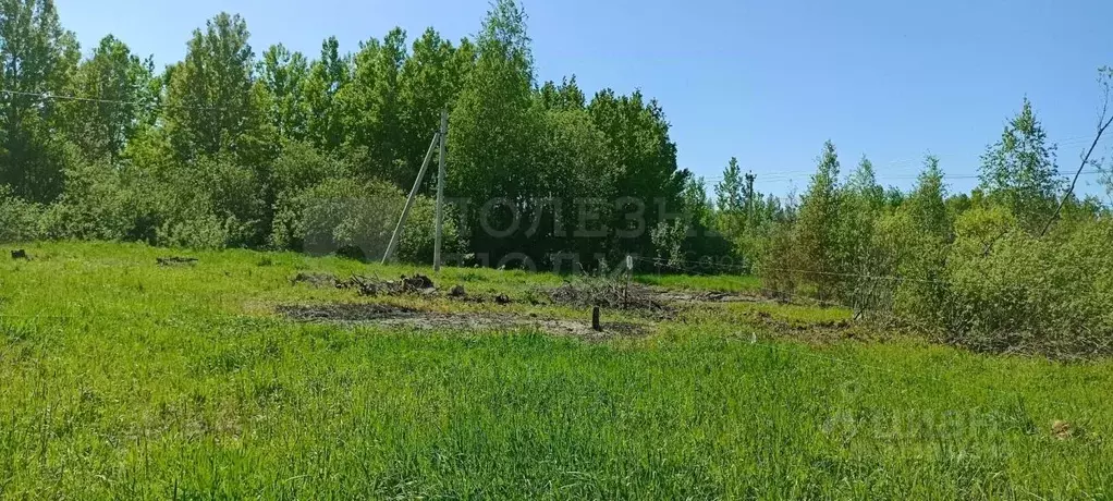 Участок в Новгородская область, Великий Новгород Озерная ул., 14к3 ... - Фото 0