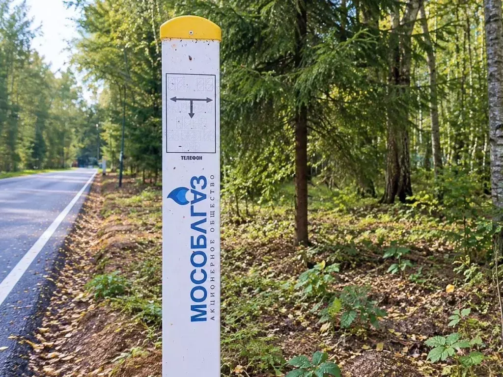 Участок в Московская область, Одинцовский городской округ, д. ... - Фото 2