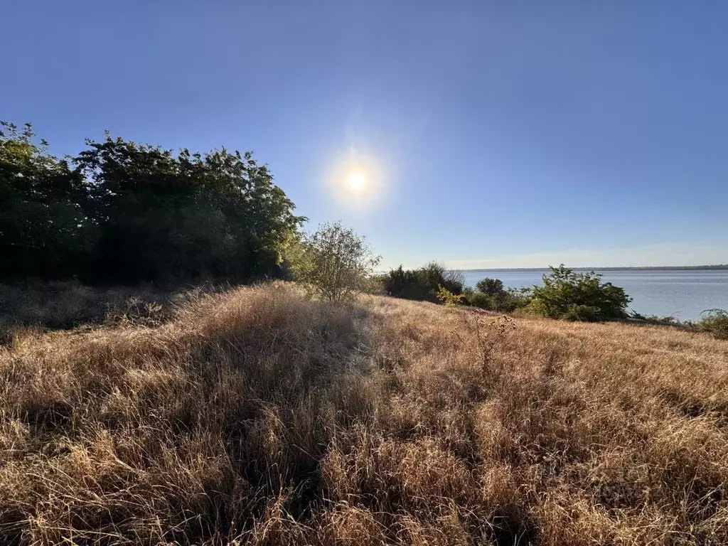 Участок в Ростовская область, Неклиновский район, ... - Фото 0