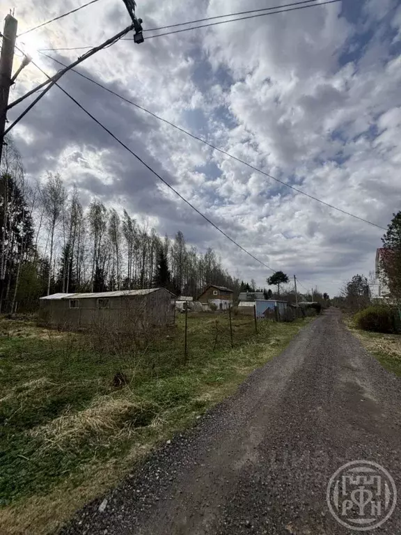 Участок в Ленинградская область, Ломоносовский район, Лебяженское ... - Фото 1