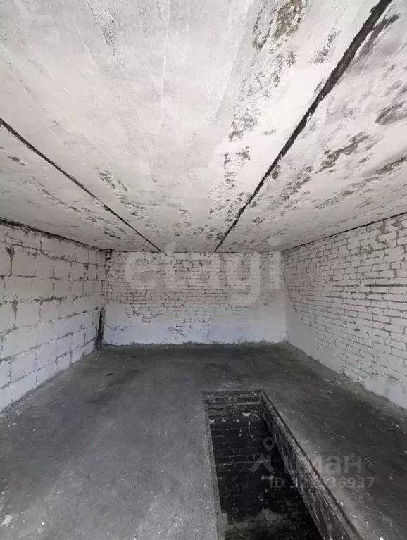 Гараж в Брянская область, Брянск просп. Ленина (31 м) - Фото 1