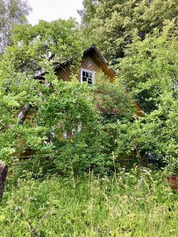 Дом в Псковская область, Плюсский муниципальный округ, д. Большое ... - Фото 1