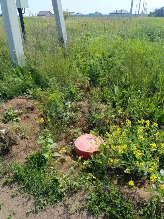 Участок в Липецкая область, Липецкий муниципальный округ, с. Частая ... - Фото 2