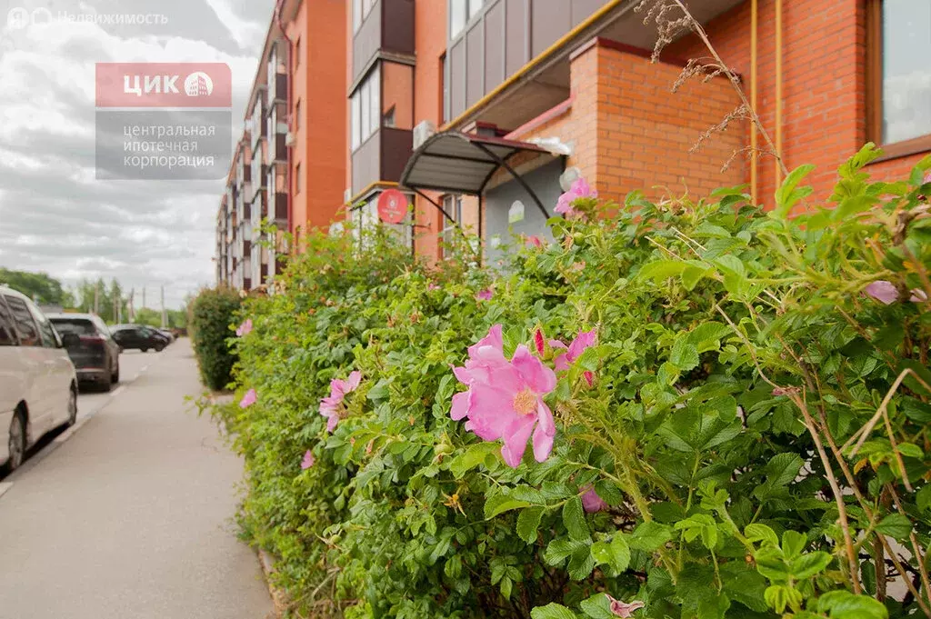2-комнатная квартира: село Дядьково, улица Грачи, 56 (61.1 м) - Фото 0