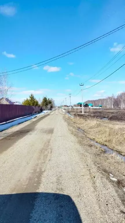 Участок в Новосибирская область, Колыванский район, Проектировщик СНТ  ... - Фото 2