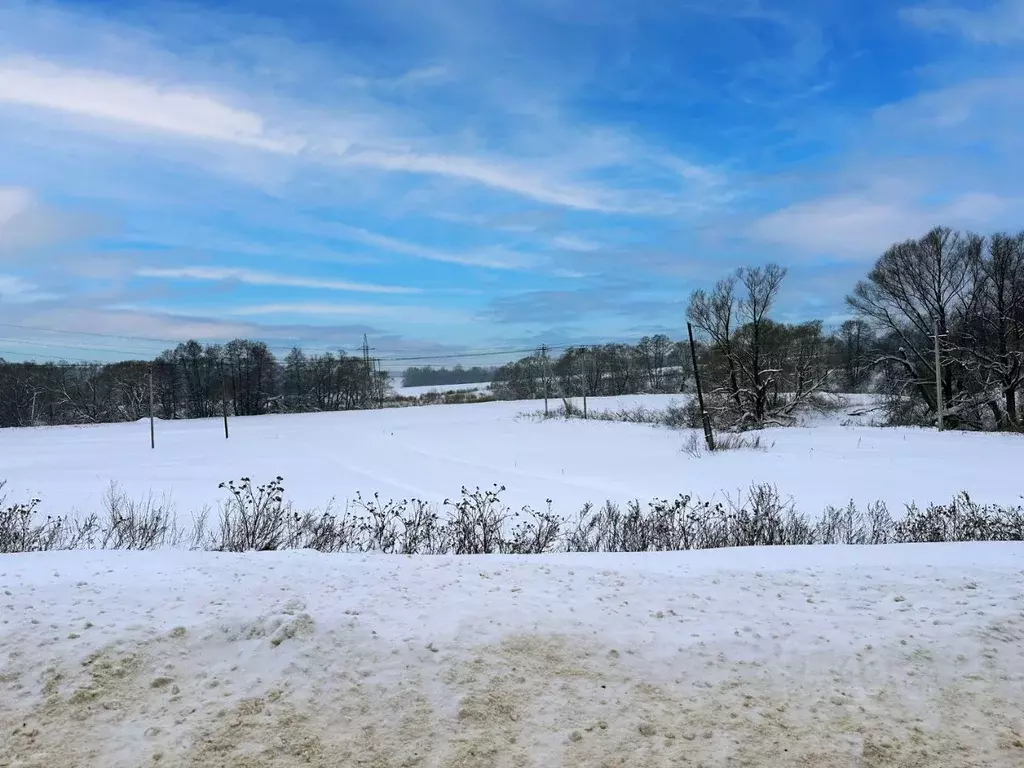 Участок в Московская область, Домодедово городской округ, пос. ... - Фото 2