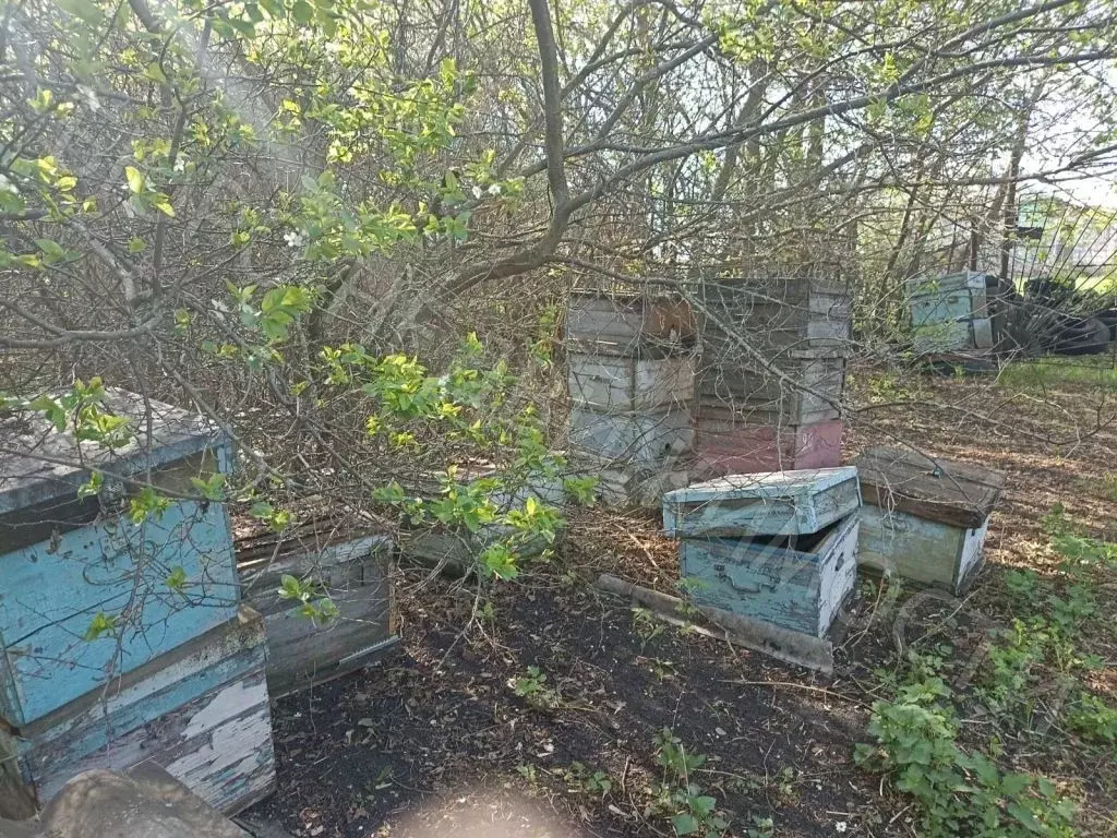 Дом в Саратовская область, Балашовский район, Родничковское ... - Фото 1
