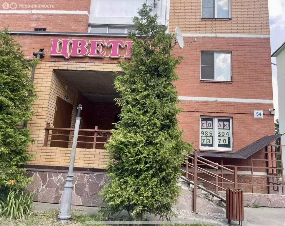 Помещение свободного назначения (57 м) - Фото 2