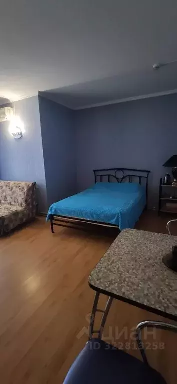 Комната Волгоградская область, Камышин Нижняя ул., 78 (32.0 м) - Фото 1