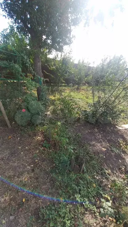 Дом 119 м на участке 7 сот. - Фото 1