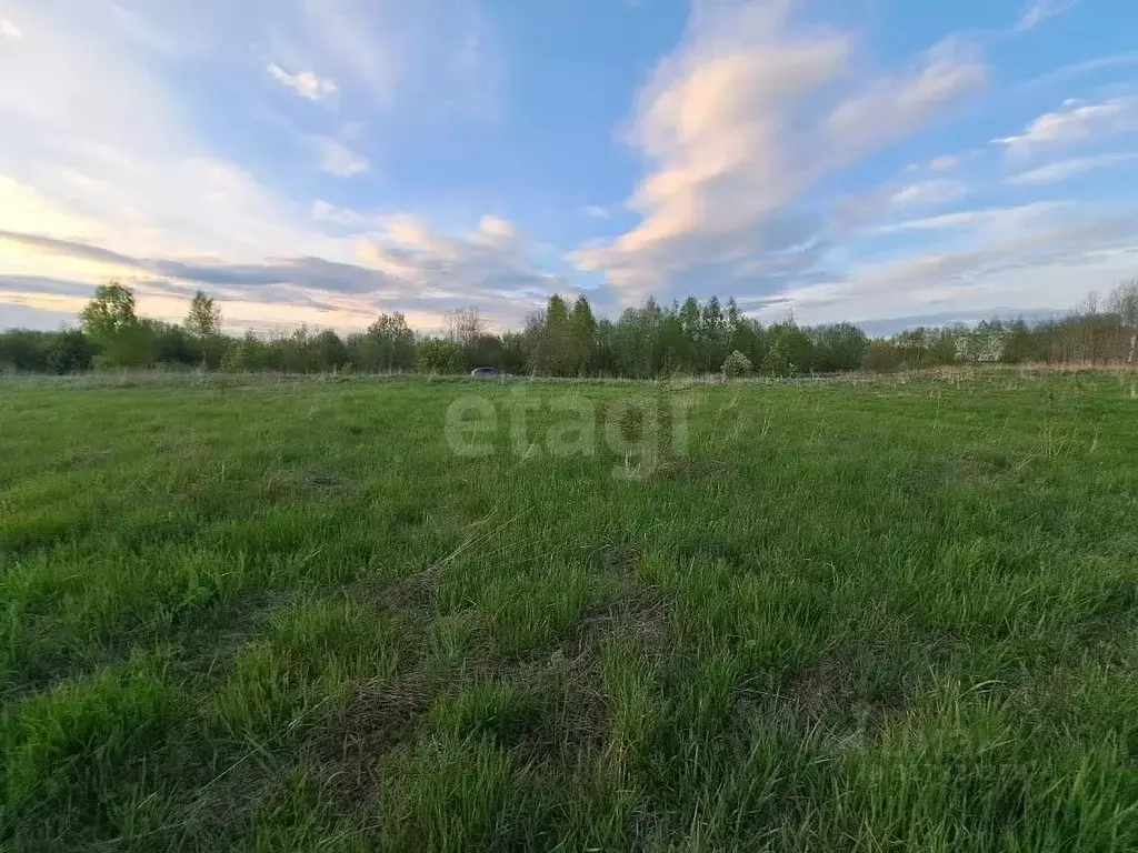 Участок в Вологодская область, Шекснинский район, Железнодорожное ... - Фото 0