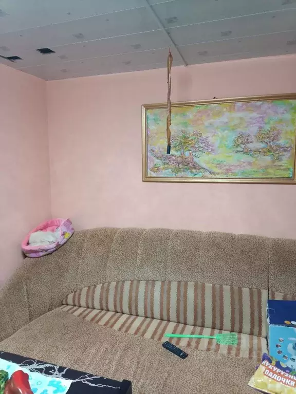 Дом в Самарская область, Самара Мичуринец СНТ, ул. 6-я, 36А (60 м) - Фото 2