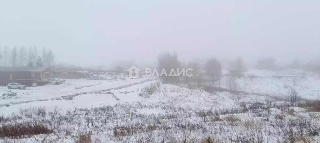 Участок в Владимирская область, Суздальский район, Боголюбовское ... - Фото 0