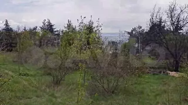 Участок 46 сот. (ИЖС) - Фото 1