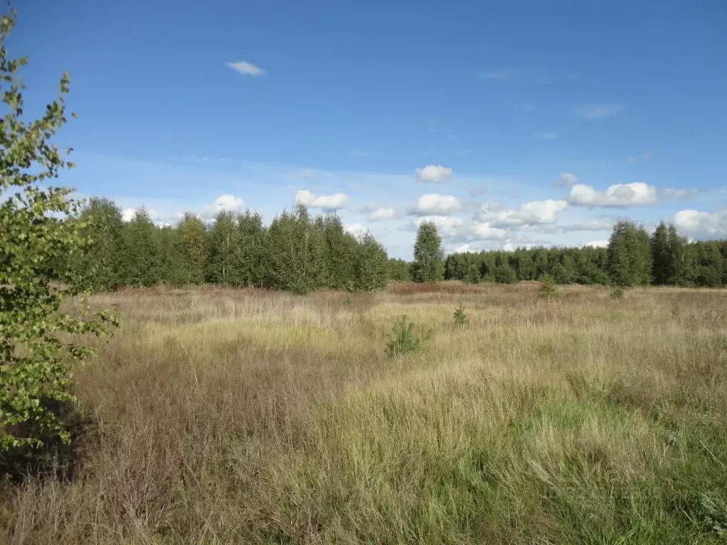 Участок в Ивановская область, Южский район, Мугреево-Никольское с/пос, ... - Фото 1