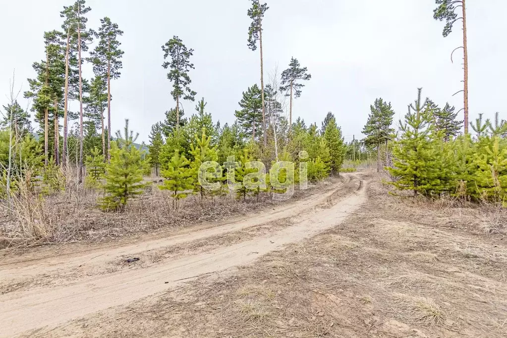 Участок в Бурятия, Улан-Удэ Весна ДНТ, Б4 (8.0 сот.) - Фото 1