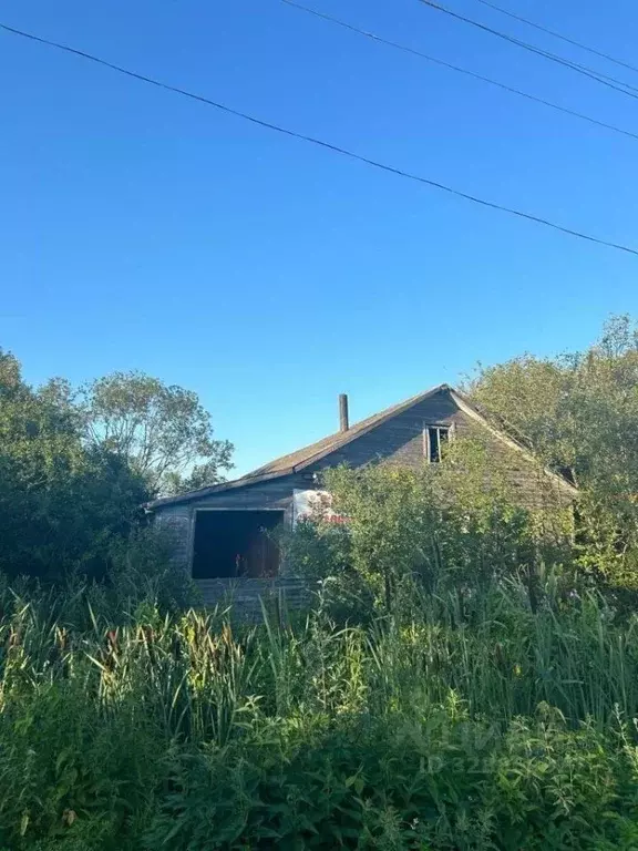 Дом в Новгородская область, Старорусский муниципальный округ, д. ... - Фото 1