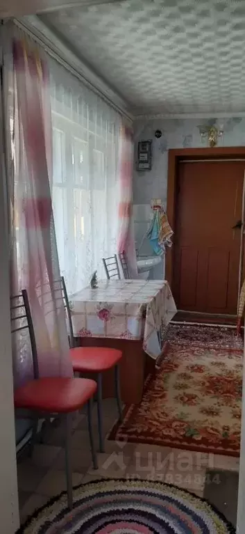 Дом в Алтай, Горно-Алтайск пл. Ленина (34 м) - Фото 1