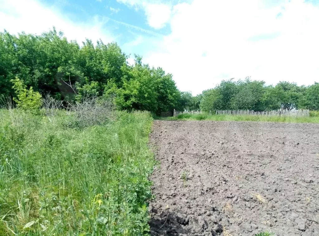 Погода в аристово старожиловский. Д. Мелекшино Рязанская область.