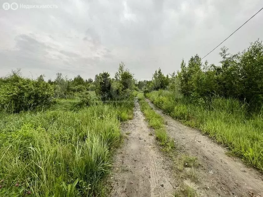 Участок в Тюменская область, Нижнетавдинский муниципальный округ, село ... - Фото 1