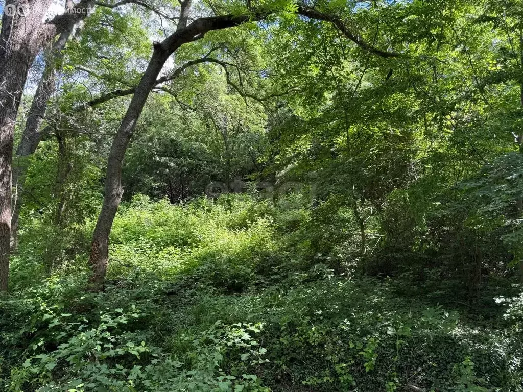 Участок в село Мысхако, Центральная улица (4.97 м) - Фото 2