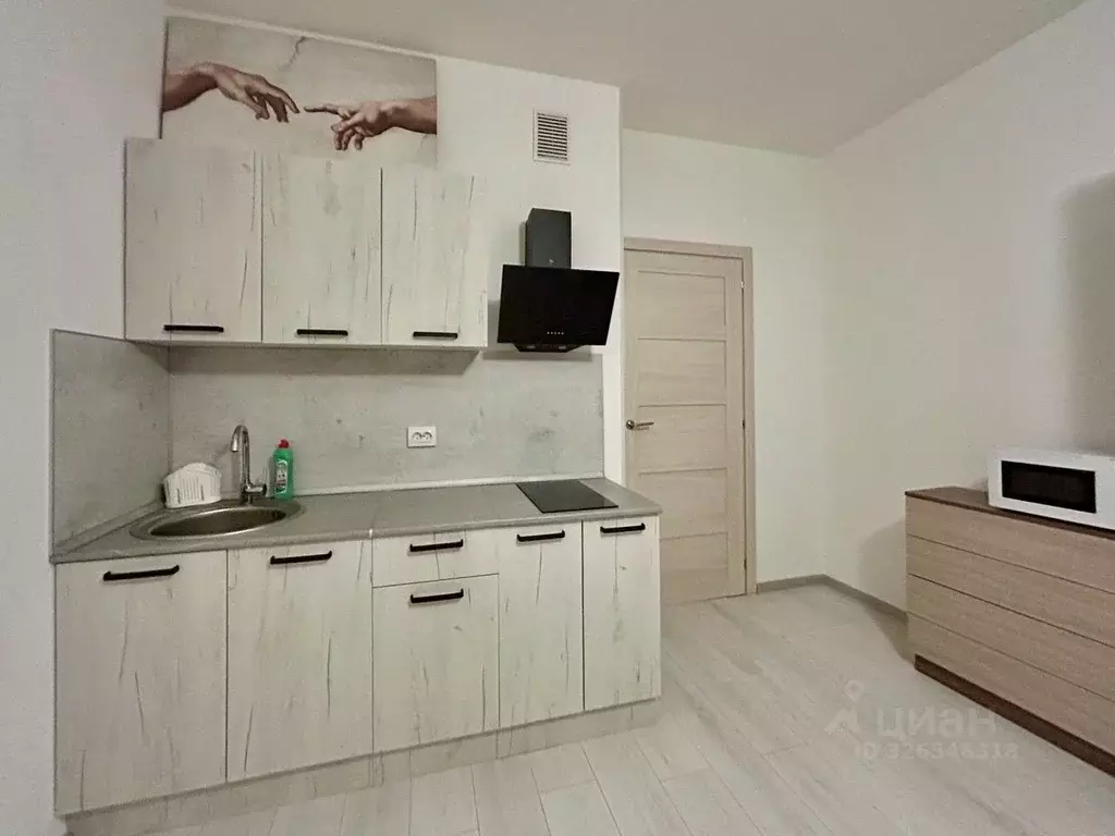 Студия Санкт-Петербург аллея Арцеуловская, 19 (24.0 м) - Фото 2