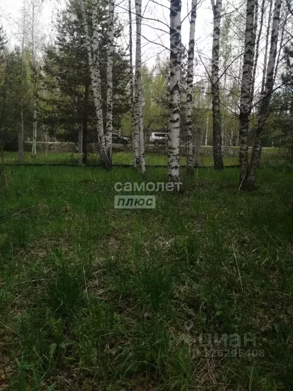 Участок в Ивановская область, Ивановский район, Беляницкое с/пос, д. ... - Фото 2