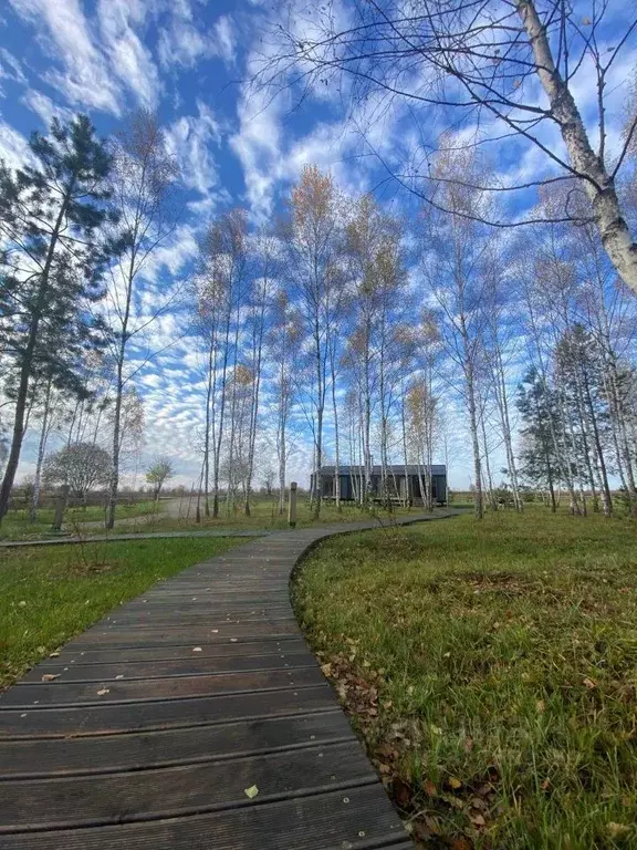 Участок в Калужская область, Жуковский муниципальный округ, с. ... - Фото 1