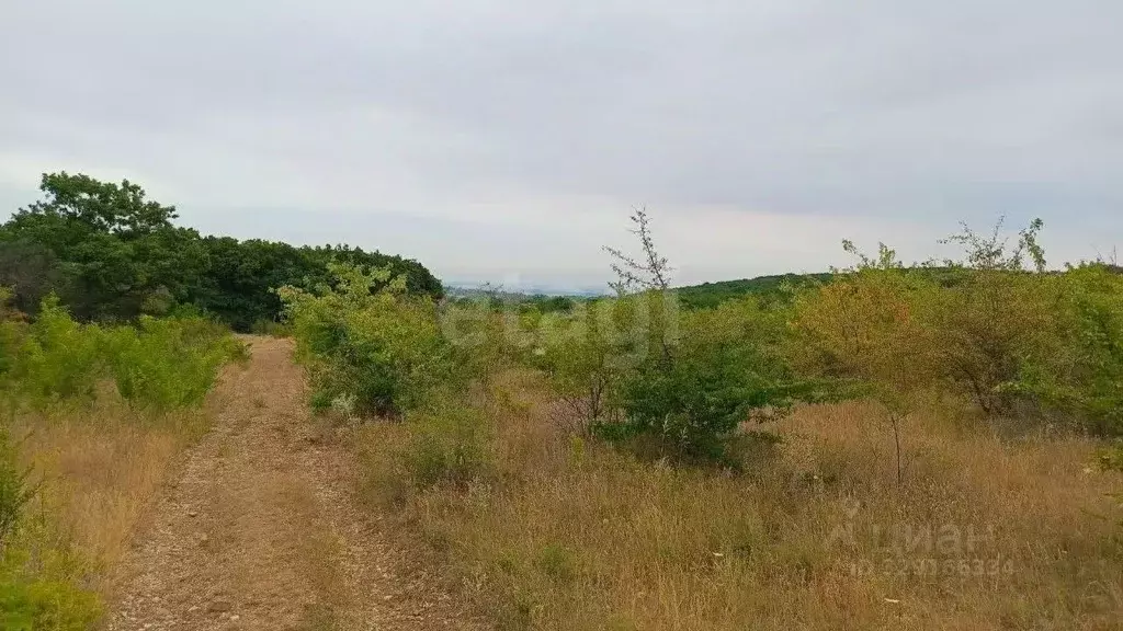 Участок в Крым, Кировский район, Старый Крым городское поселение ул. ... - Фото 1