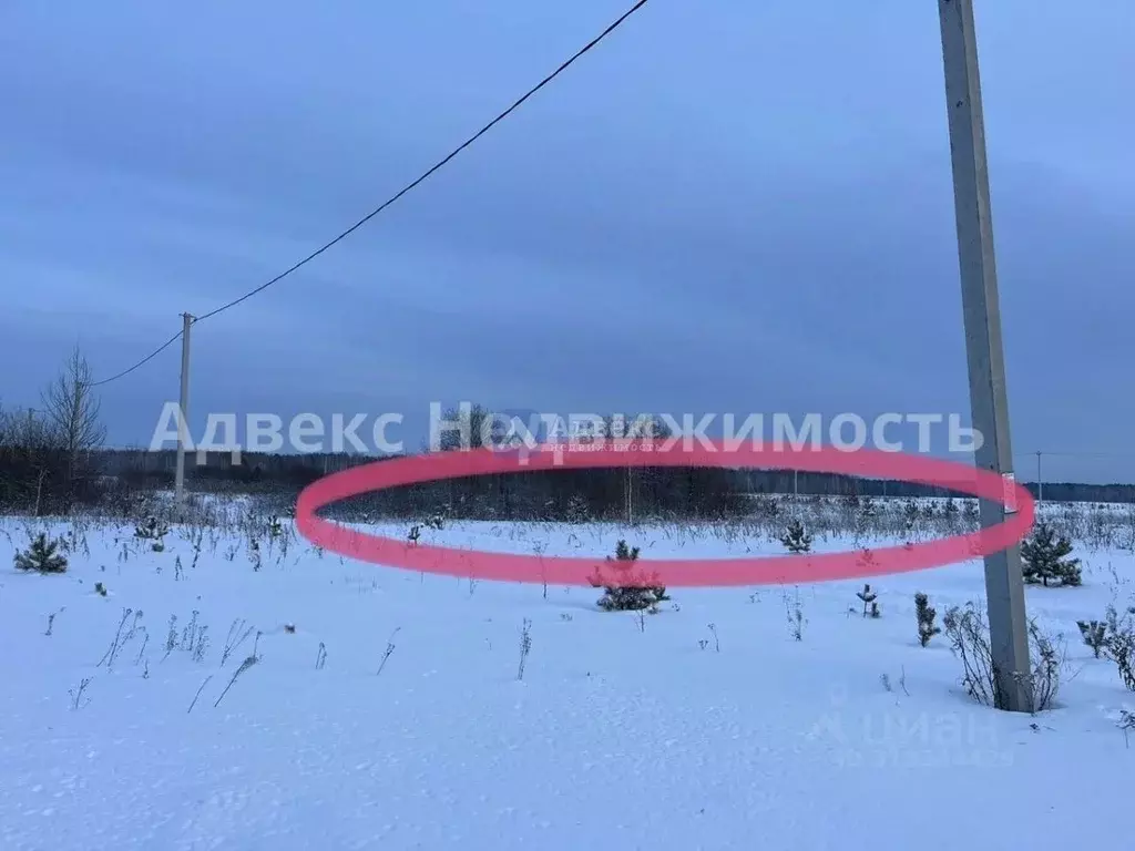 Участок в Тюменская область, Тюменский район, с. Кулига ул. ... - Фото 0