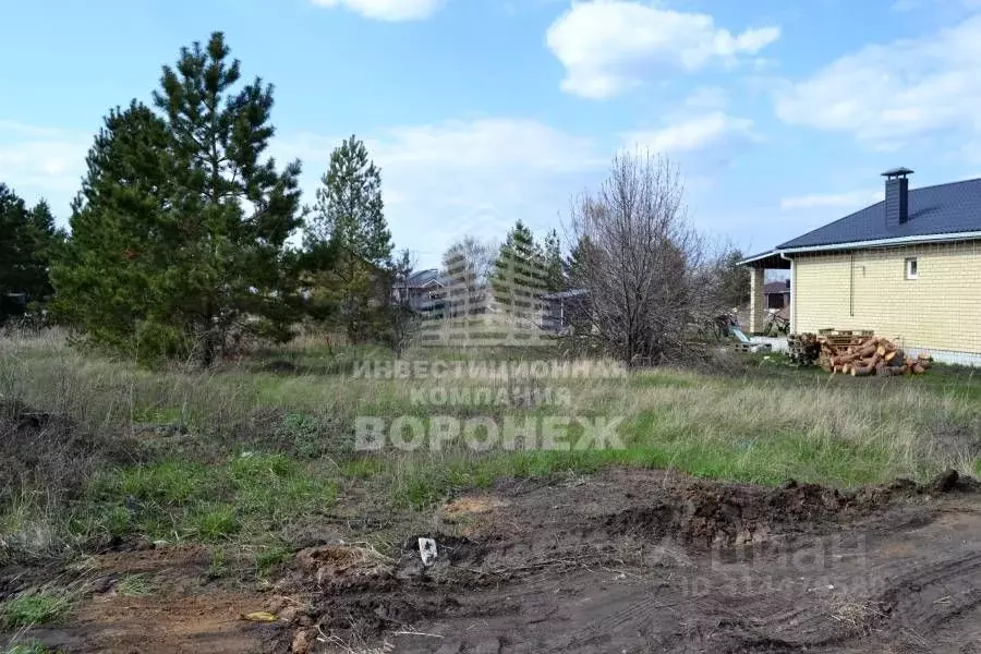 Участок в Воронежская область, с. Новая Усмань ул. Нахимовская, 51/1 ... - Фото 1