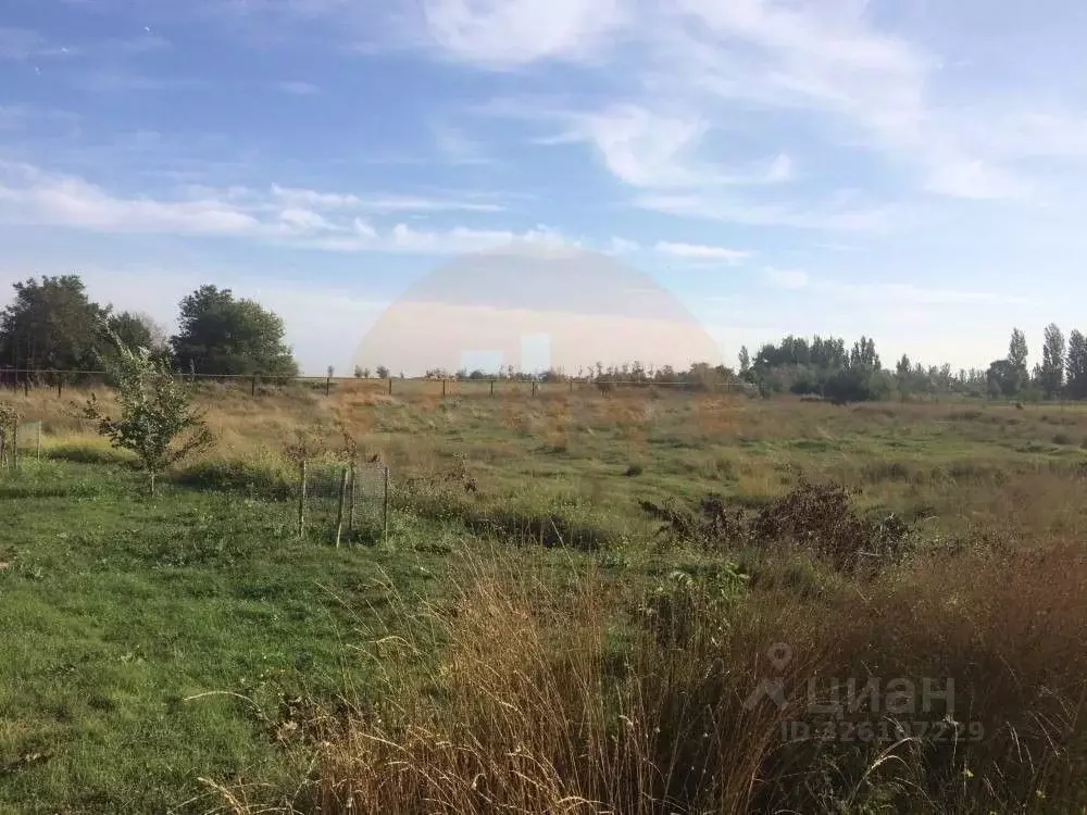 Участок в Крым, Сакский район, с. Фрунзе ул. Молодежная (12.0 сот.) - Фото 1