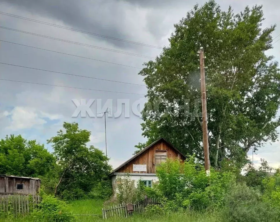 Дом в Алтайский край, Тюменцевский район, с. Тюменцево ул. Ленина (61 ... - Фото 0