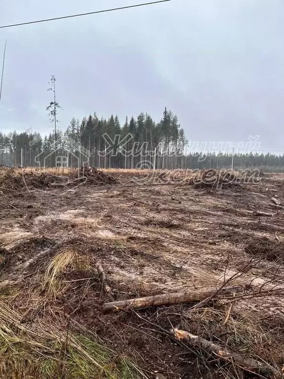 Участок в Свердловская область, Ревда ул. Дубравная (10.0 сот.) - Фото 2