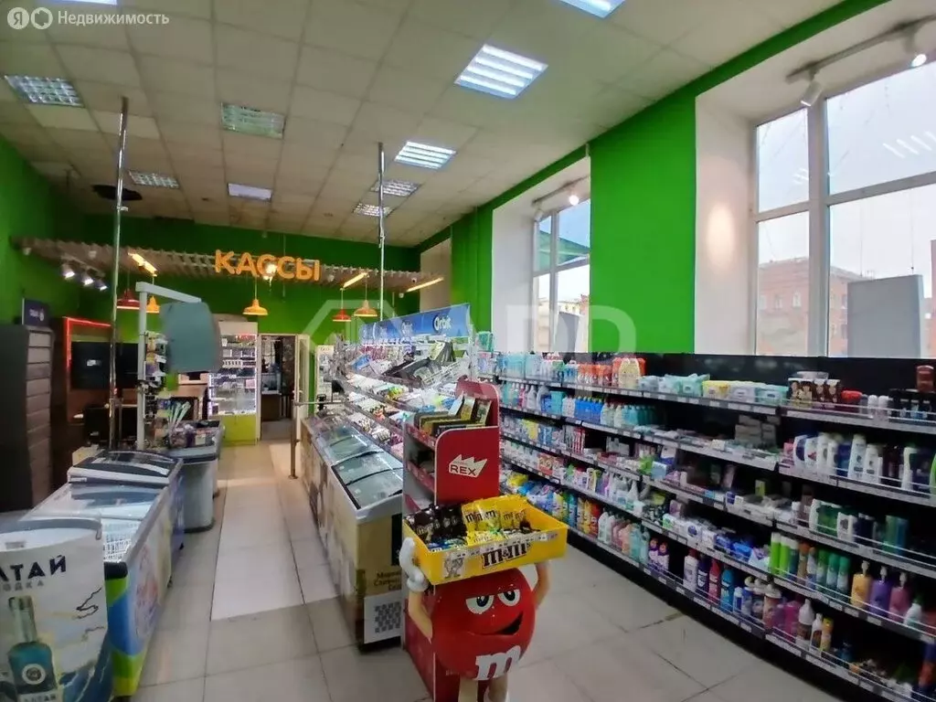 Помещение свободного назначения (251 м) - Фото 2