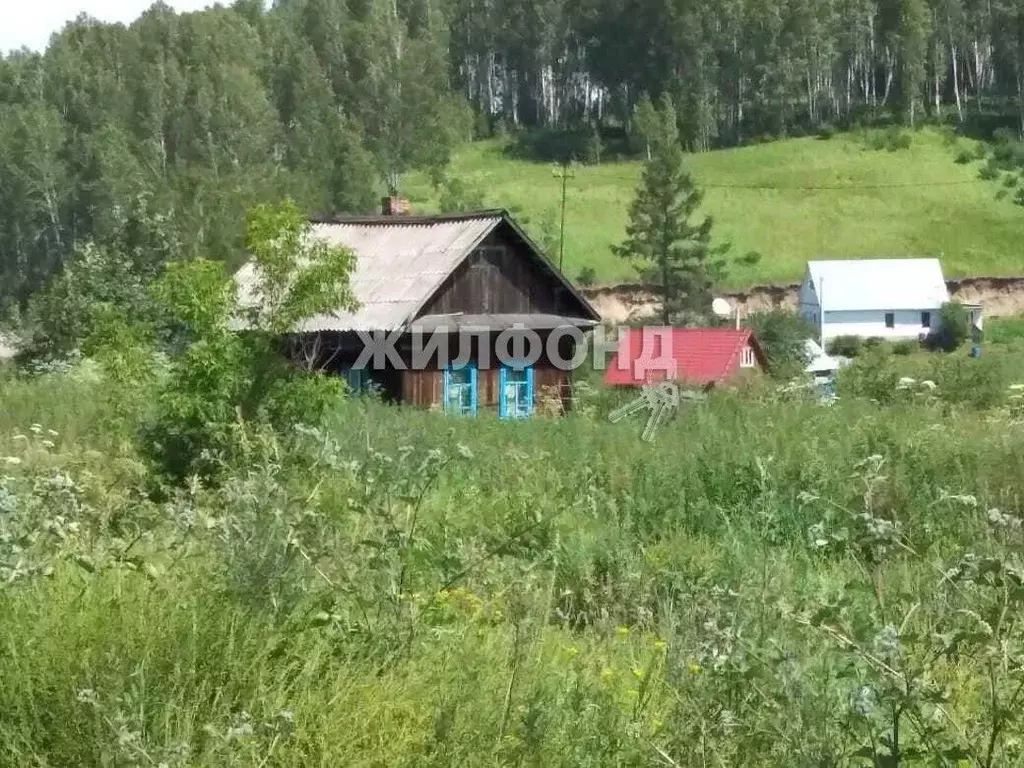 Дом в Новосибирская область, Новосибирский район, Раздольненский ... - Фото 0