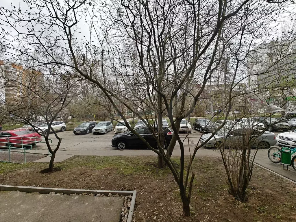 Квартира-студия, 17,9 м, 1/12 эт. - Фото 0