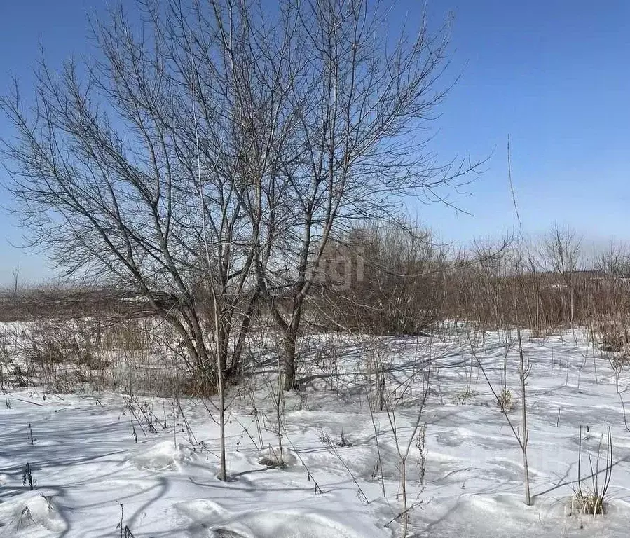 Участок в Иркутская область, Тулунский район, Будаговское ... - Фото 0