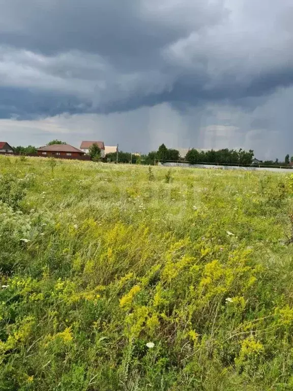 Участок в Воронежская область, Хохольский район, с. Гремячье ... - Фото 2