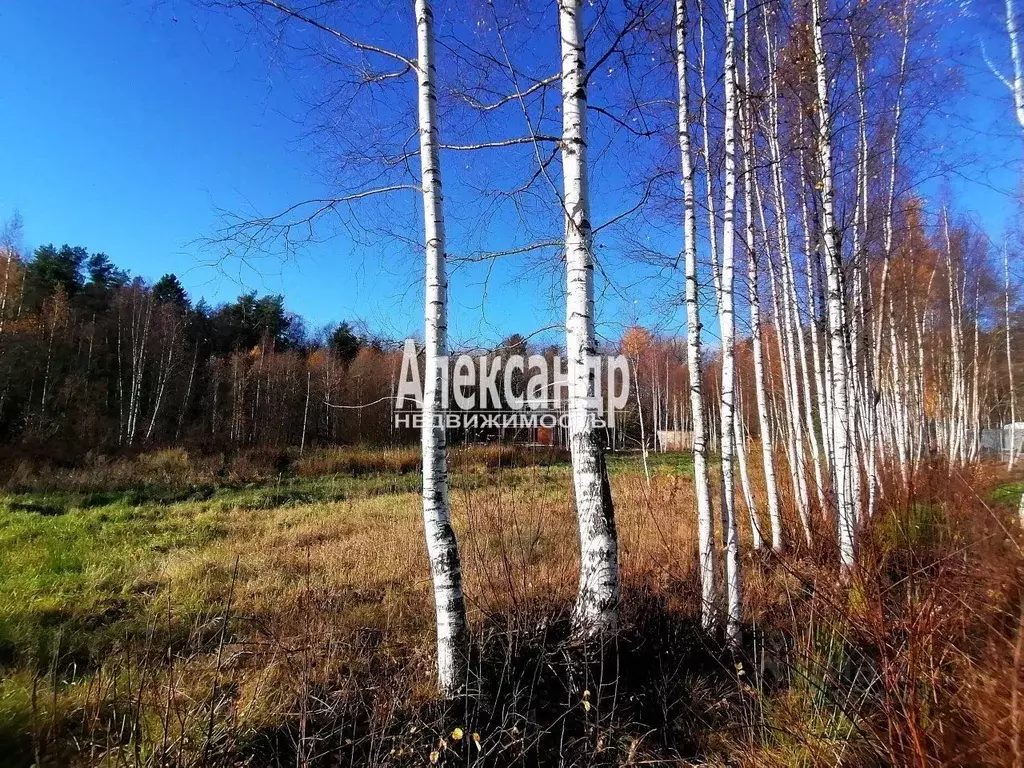 Участок в Ленинградская область, Приозерский район, Ларионовское ... - Фото 0