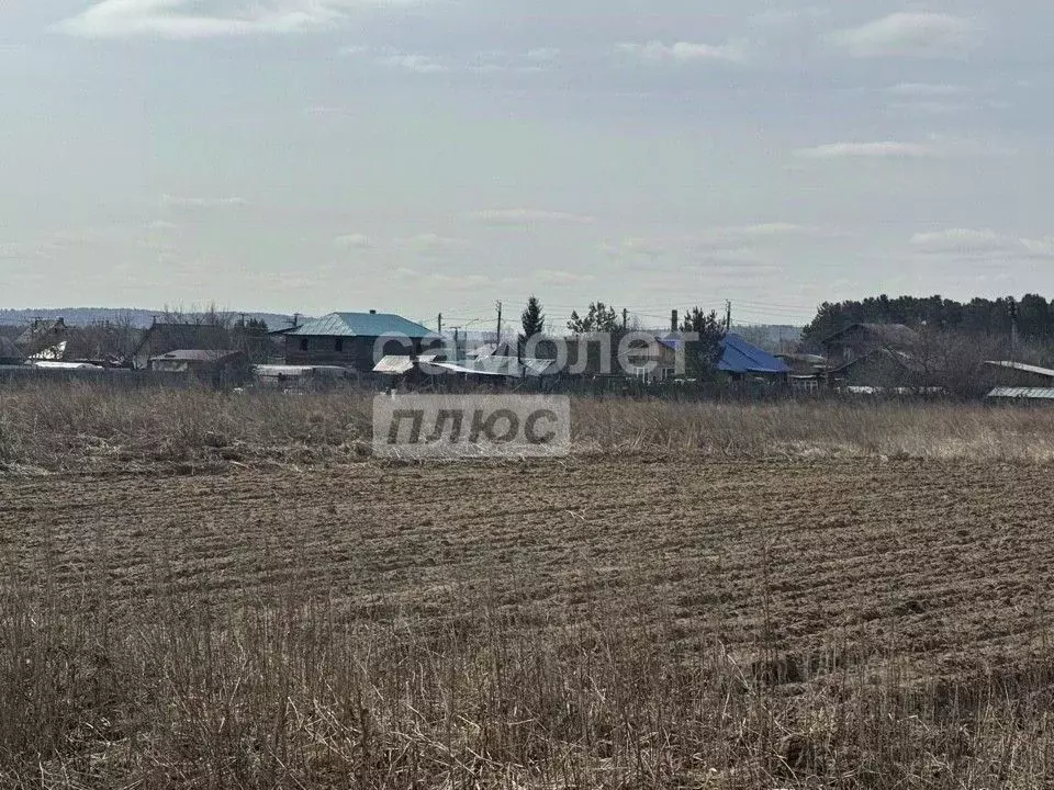 Участок в Иркутская область, Иркутск ул. 2-я Дачная, 12 (16.0 сот.) - Фото 2