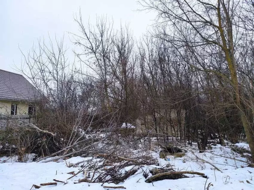 Дом в Воронежская область, Новоусманский район, Орловское с/пос, с. ... - Фото 1