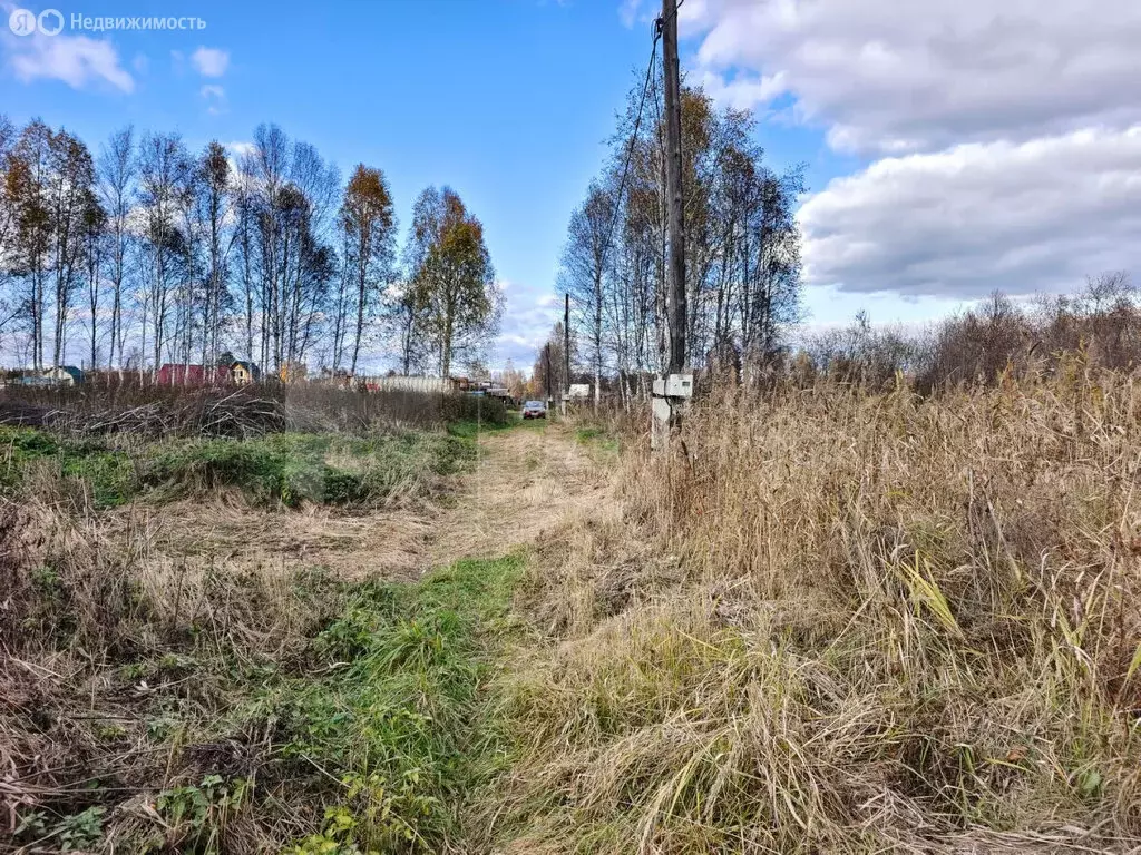 Участок в Тюменская область, Нижнетавдинский муниципальный округ, ... - Фото 1