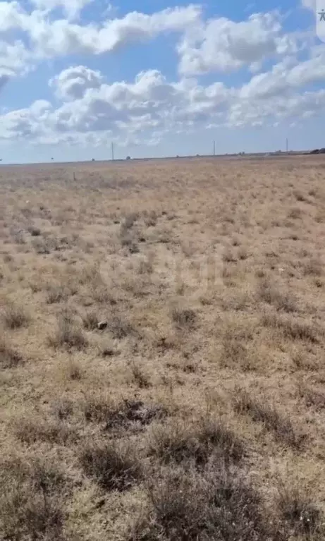 Участок в Крым, Сакский район, Штормовское с/пос, с. Приветное  (6.0 ... - Фото 1