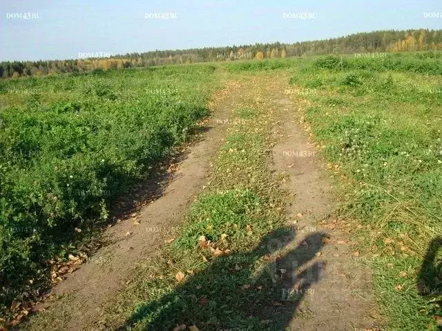 Участок в Кировская область, Киров Калинка садовое дачное ... - Фото 0