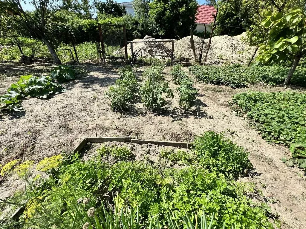 Дом в Краснодарский край, Темрюк ул. Победы (51 м) - Фото 1